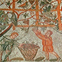 Vinařství v antickém Římě