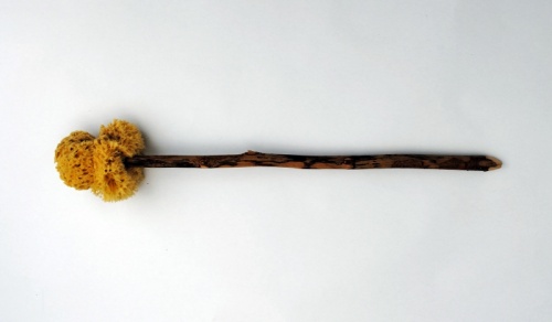 Xylospongium - římská náhrada toaletního papíru. Xylospongium - římská náhrada toaletního papíru.